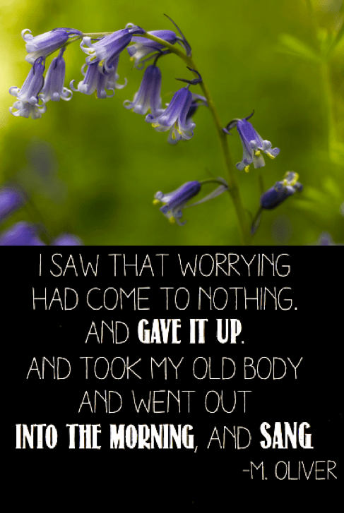 Screen Shot 2017-05-26 at 10.16.09 PM.png