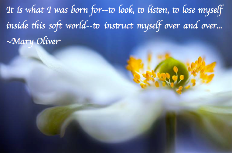 Screen Shot 2017-05-26 at 10.21.52 PM.png