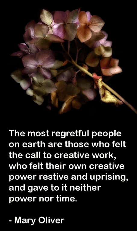 Screen Shot 2017-05-26 at 8.38.32 AM.png