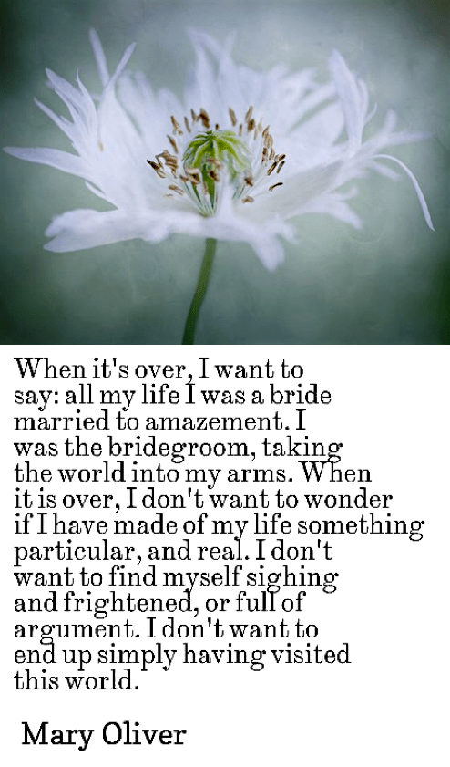 Screen Shot 2017-05-26 at 8.41.32 AM.png