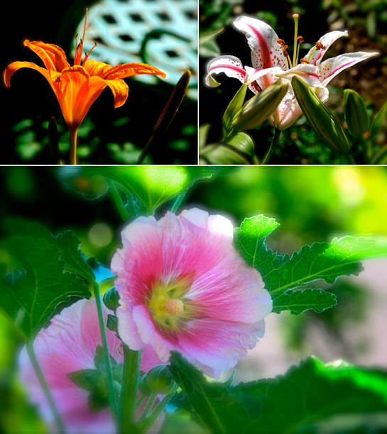 Screen Shot 2017-05-29 at 9.18.10 PM.png