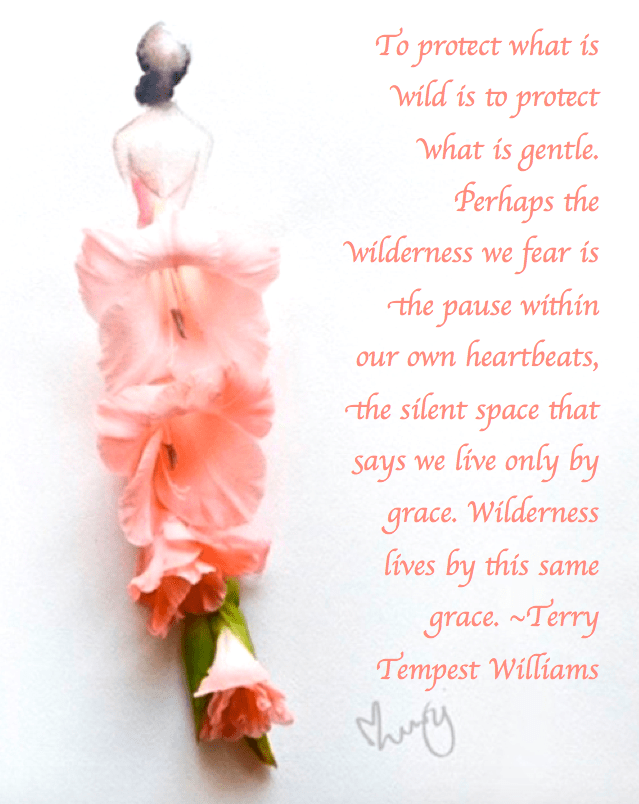 Screen Shot 2017-05-30 at 10.00.37 PM.png