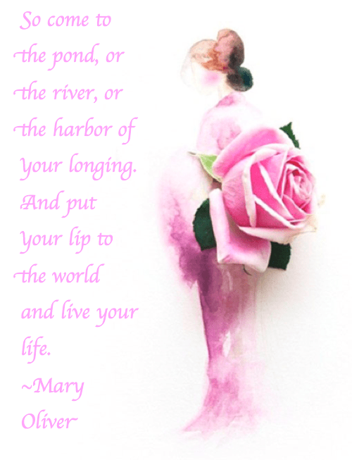 Screen Shot 2017-05-30 at 10.36.23 PM.png