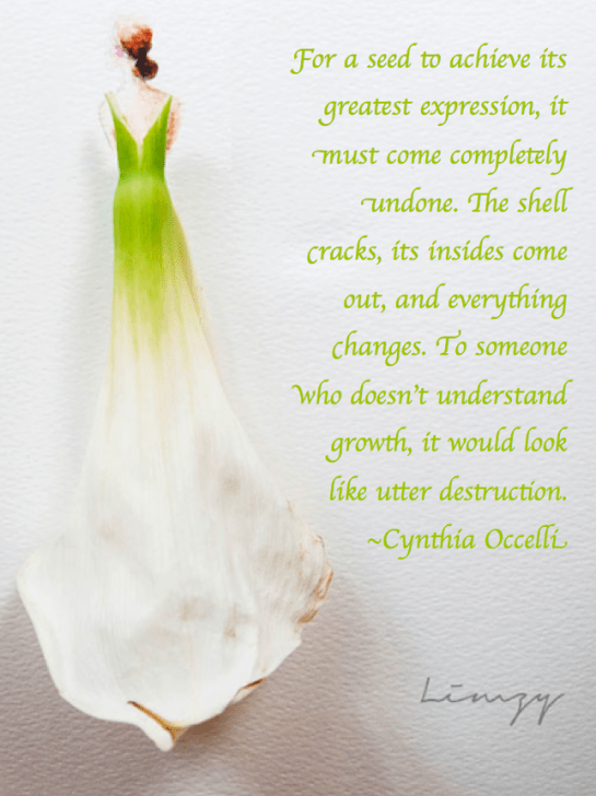 Screen Shot 2017-05-31 at 10.05.59 PM.png