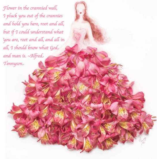 Screen Shot 2017-05-31 at 10.31.01 PM.png