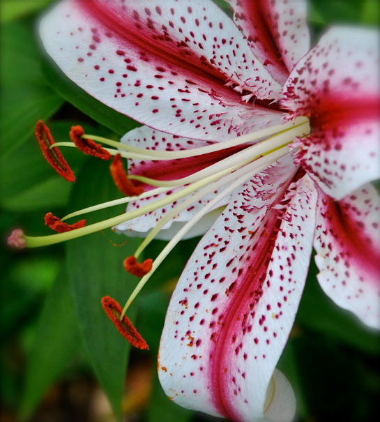 Screen Shot 2017-05-31 at 9.28.56 PM.png