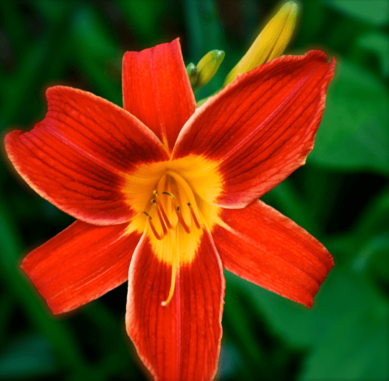 Screen Shot 2017-05-31 at 9.33.23 PM.png