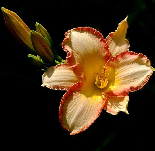 Screen Shot 2017-05-31 at 9.41.02 PM.png