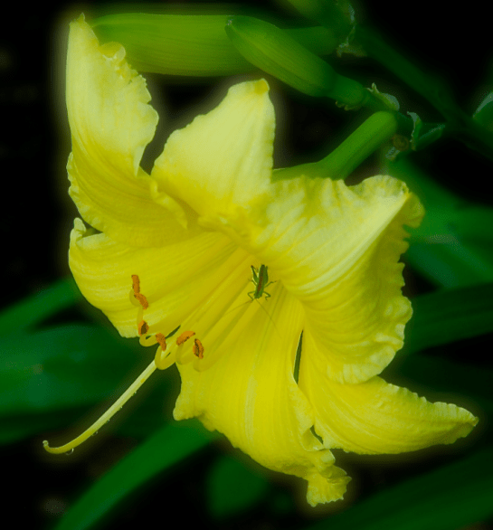 Screen Shot 2017-05-31 at 9.50.12 PM.png