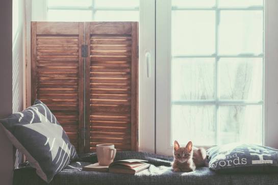 18953176_1564260490273477_7661845756382573926_o