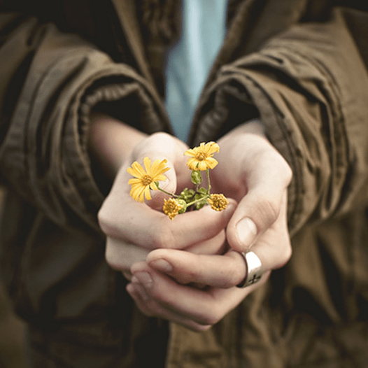 19274933_1446785452048066_6347518611441017148_n