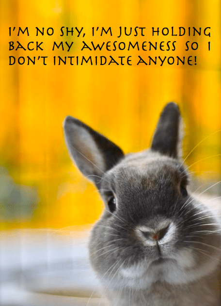 Screen Shot 2017-06-03 at 10.02.09 PM.png