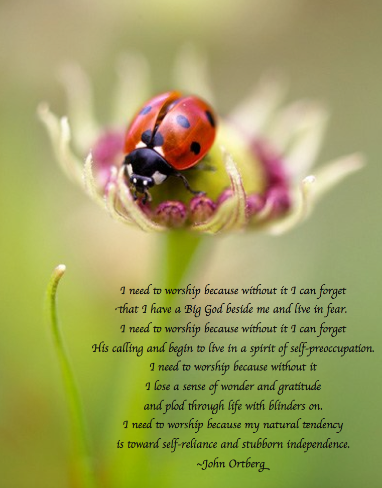 Screen Shot 2017-06-04 at 4.30.01 PM.png