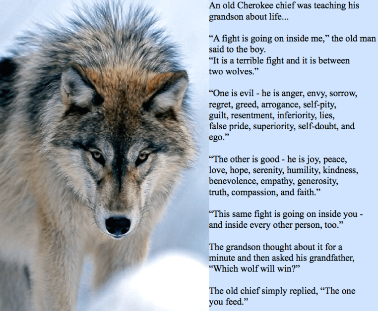 Screen Shot 2017-06-04 at 8.56.23 PM.png