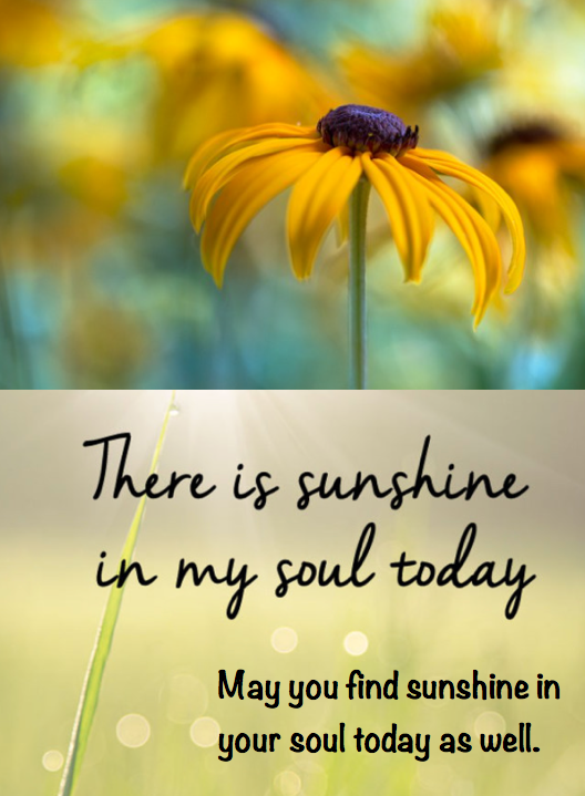 Screen Shot 2017-06-04 at 9.50.06 PM.png