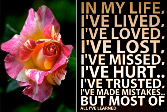 Screen Shot 2017-06-04 at 9.54.46 PM.png