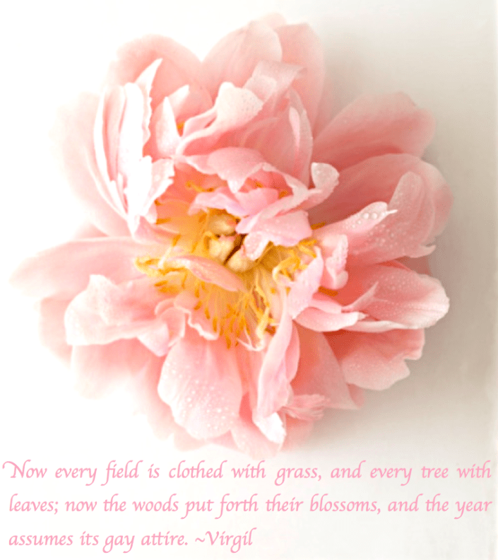 Screen Shot 2017-06-05 at 8.54.16 PM.png