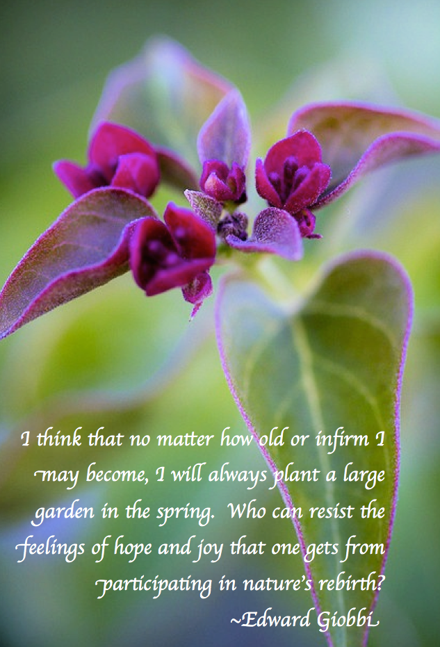 Screen Shot 2017-06-05 at 9.00.05 PM.png