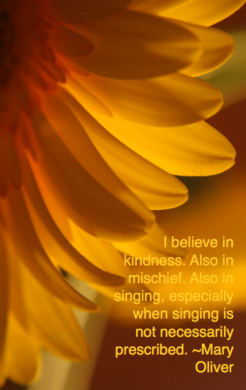 Screen Shot 2017-06-05 at 9.03.22 PM.png