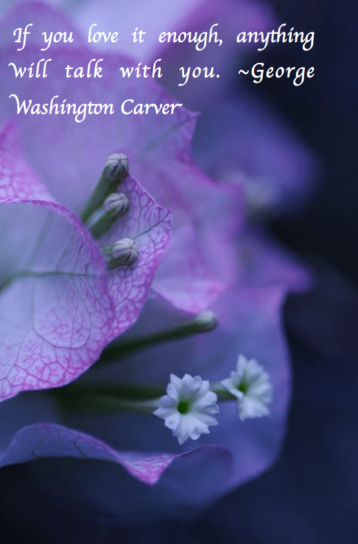 Screen Shot 2017-06-05 at 9.06.52 PM.png