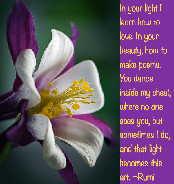 Screen Shot 2017-06-05 at 9.20.43 PM.png