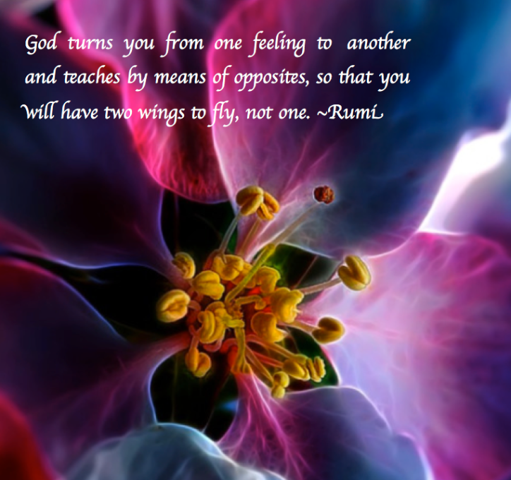 Screen Shot 2017-06-05 at 9.24.25 PM.png