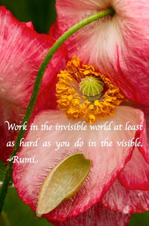 Screen Shot 2017-06-05 at 9.31.42 PM.png