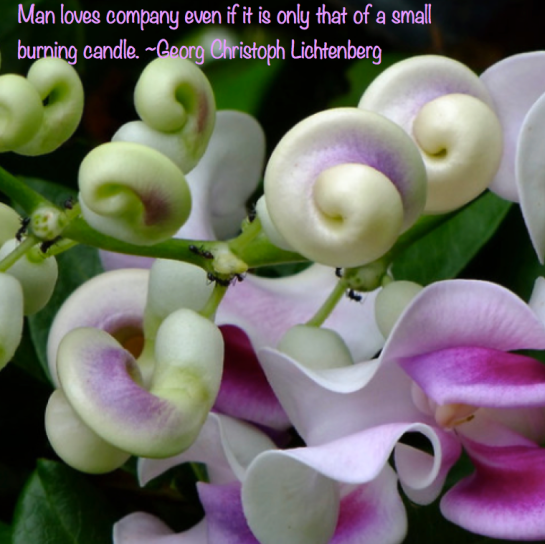 Screen Shot 2017-06-05 at 9.35.37 PM.png