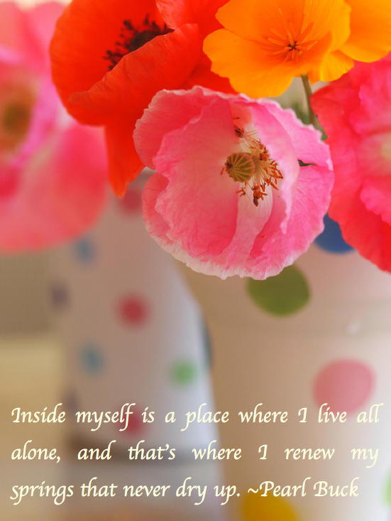 Screen Shot 2017-06-05 at 9.38.32 PM.png