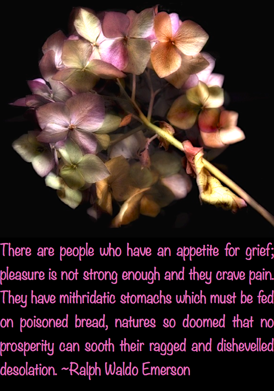 Screen Shot 2017-06-07 at 10.30.06 PM.png