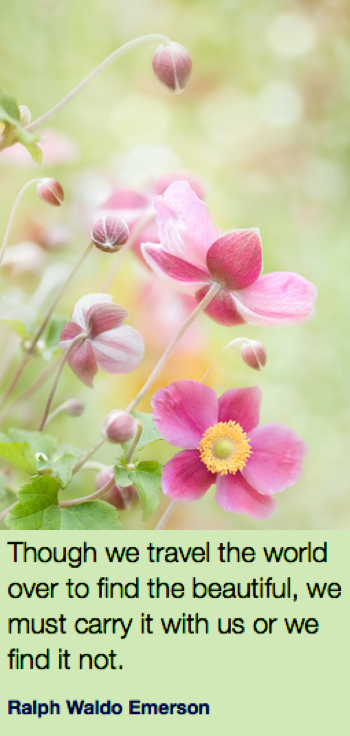 Screen Shot 2017-06-07 at 10.53.29 PM.png