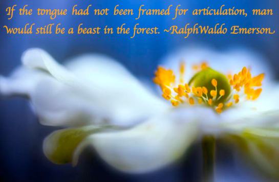 Screen Shot 2017-06-07 at 10.58.36 PM.png