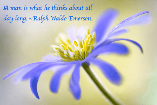 Screen Shot 2017-06-07 at 11.01.18 PM.png