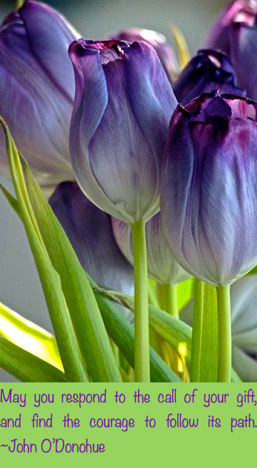 Screen Shot 2017-06-10 at 10.02.15 PM.png