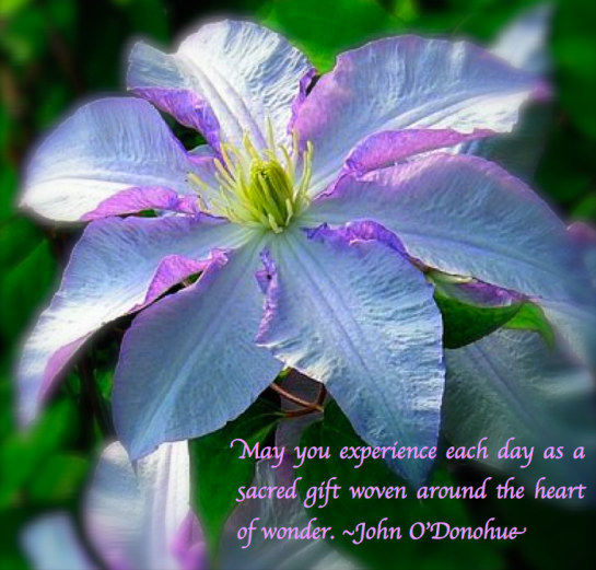 Screen Shot 2017-06-10 at 10.06.26 PM.png