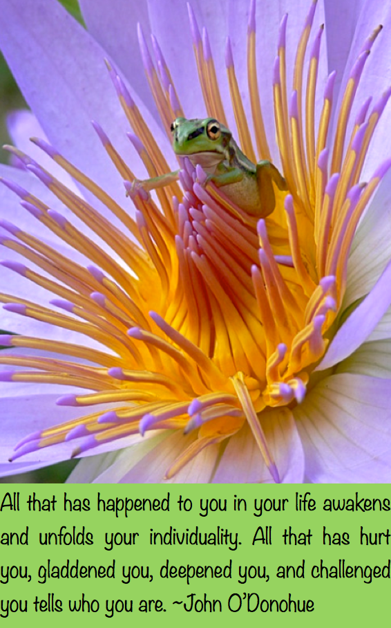 Screen Shot 2017-06-10 at 10.13.28 PM.png