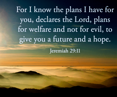 Screen Shot 2017-06-10 at 10.15.31 PM.png