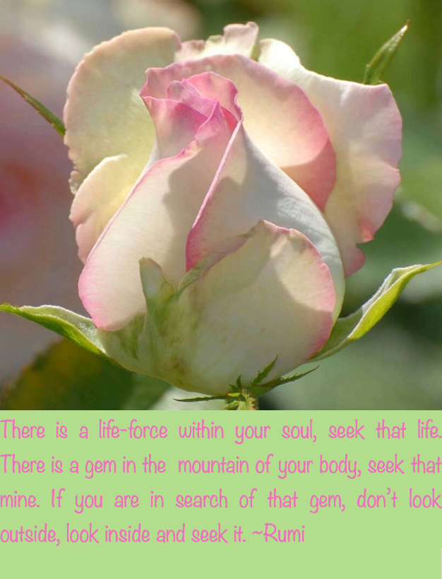 Screen Shot 2017-06-10 at 9.34.58 PM.png