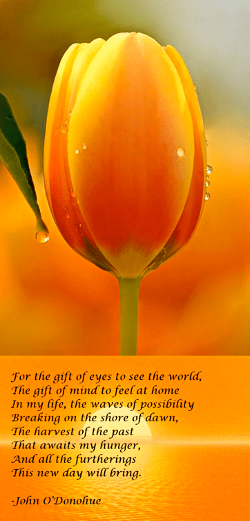 Screen Shot 2017-06-10 at 9.44.16 PM.png