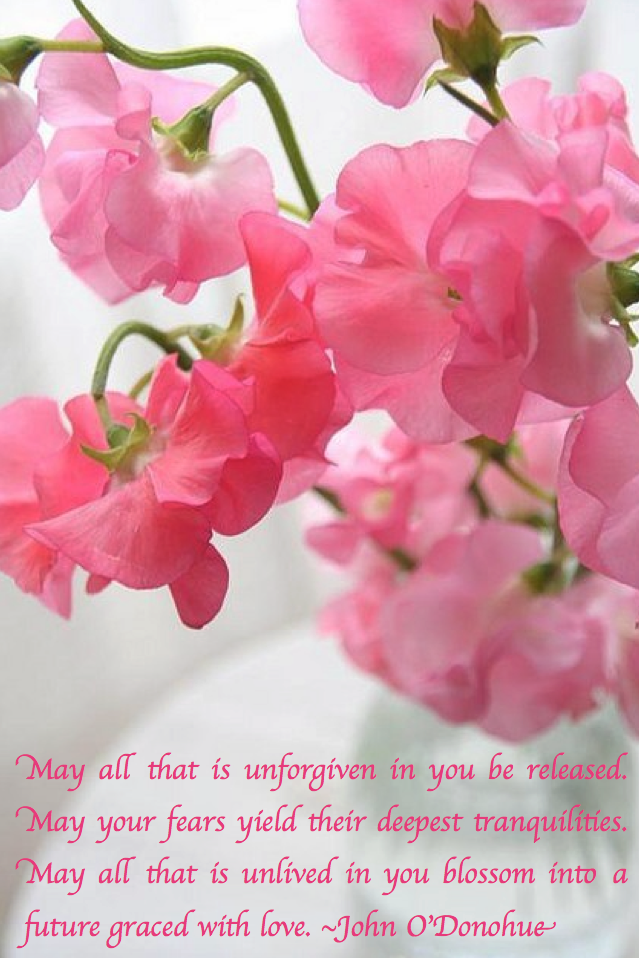 Screen Shot 2017-06-10 at 9.54.52 PM.png