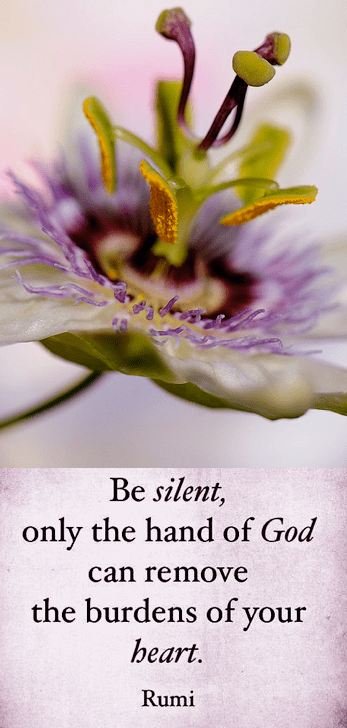 Screen Shot 2017-06-11 at 10.41.27 PM.png