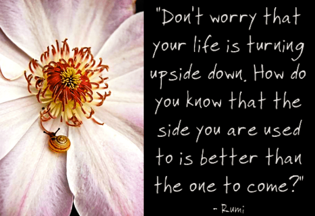 Screen Shot 2017-06-11 at 10.43.28 PM.png