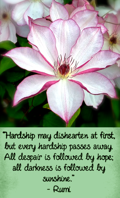 Screen Shot 2017-06-11 at 10.49.08 PM.png