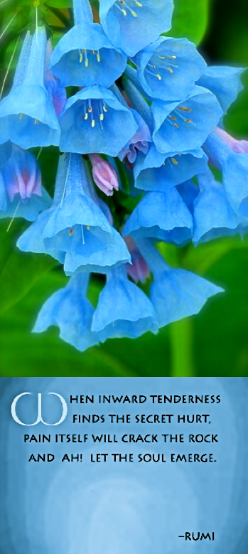 Screen Shot 2017-06-11 at 10.51.00 PM.png