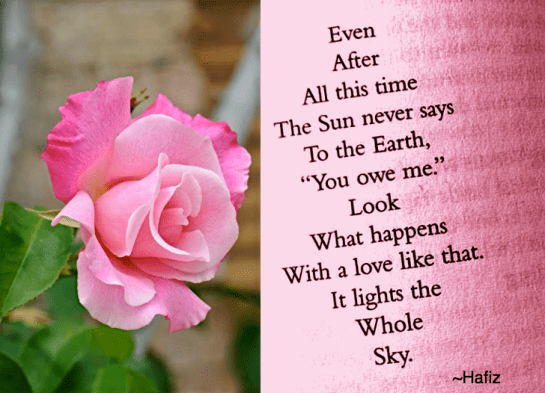 Screen Shot 2017-06-11 at 10.53.14 PM.png