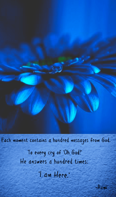 Screen Shot 2017-06-11 at 10.55.42 PM.png