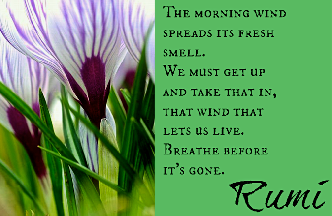 Screen Shot 2017-06-11 at 11.07.22 PM.png