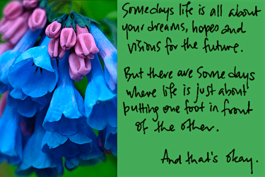 Screen Shot 2017-06-11 at 11.13.57 PM.png