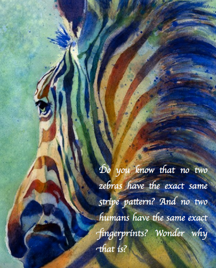 Screen Shot 2017-06-13 at 10.26.51 PM.png