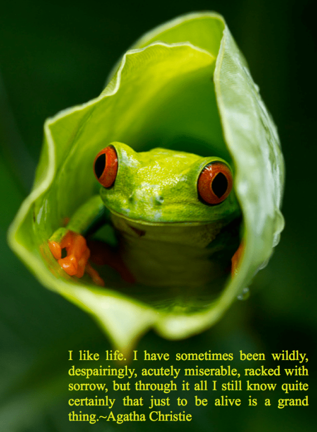 Screen Shot 2017-06-14 at 10.08.31 PM.png